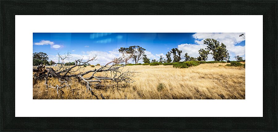 Australia summer landscape of rural Tasmania Picture Frame print