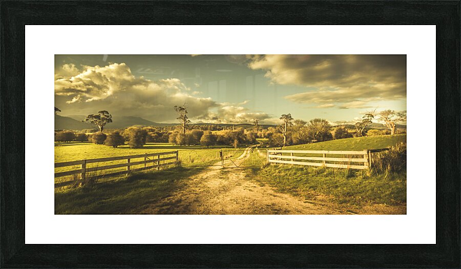 Outback country paddock Picture Frame print