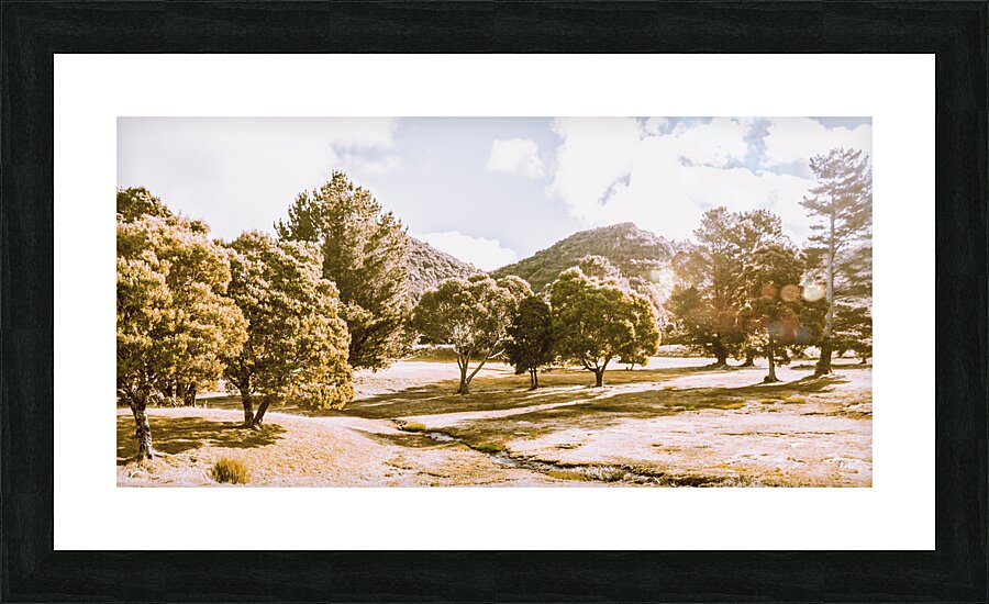 Ornate outbacks Picture Frame print