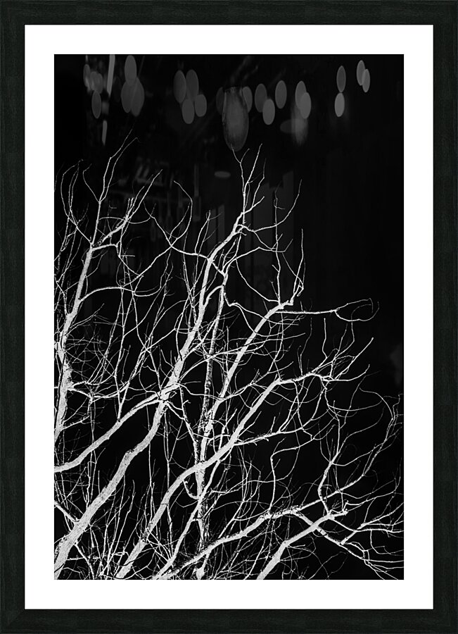 Winters bare Picture Frame print