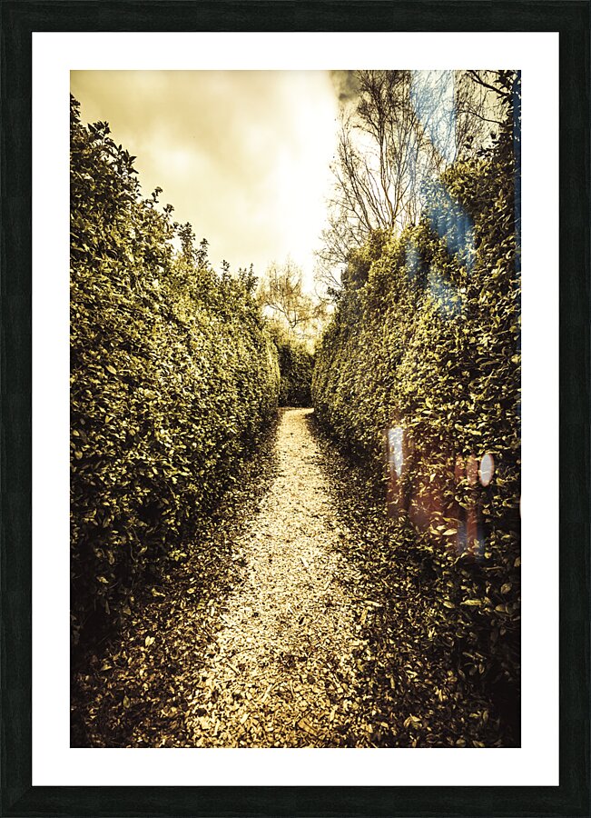 Up the garden path Picture Frame print
