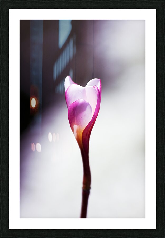 Beauty In Growth Picture Frame print