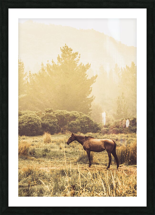 Western ranch horse Picture Frame print