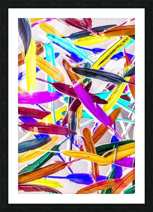 Universal Inverse Picture Frame print