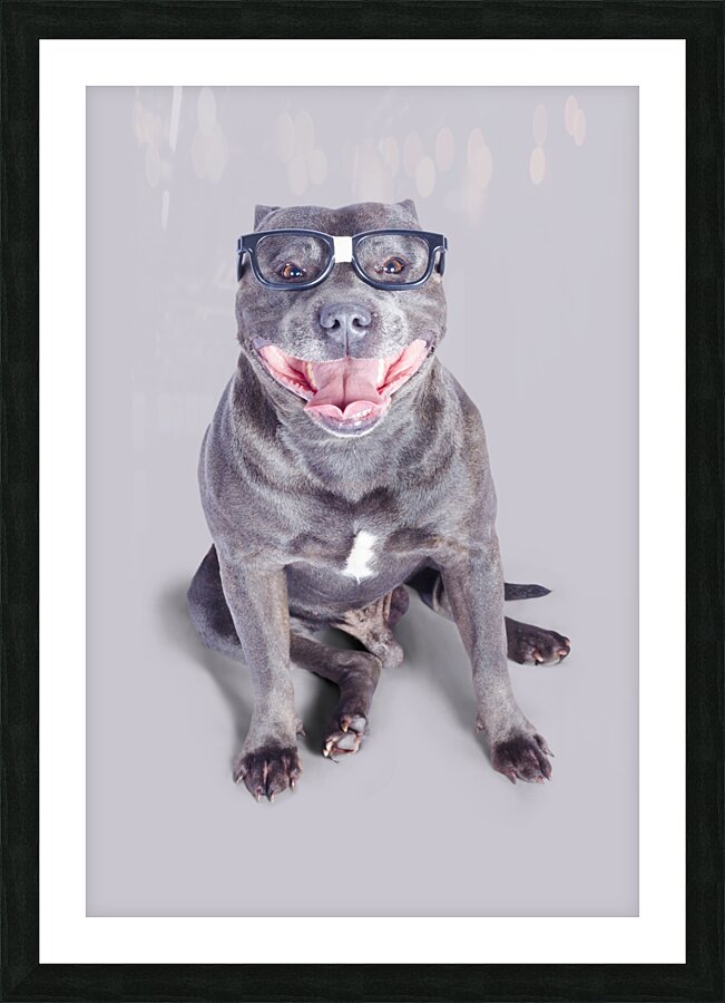 Dog wearing nerd glasses Picture Frame print