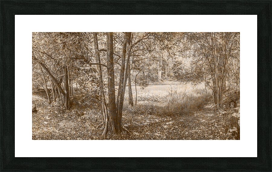 Vintage Deception Bay woodland Picture Frame print
