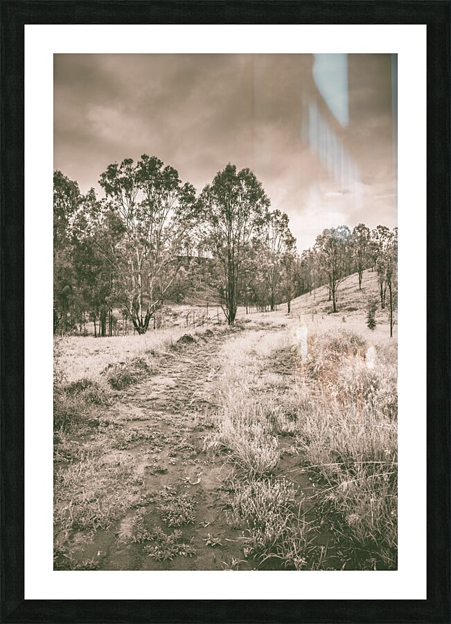 Through fields aplenty Picture Frame print