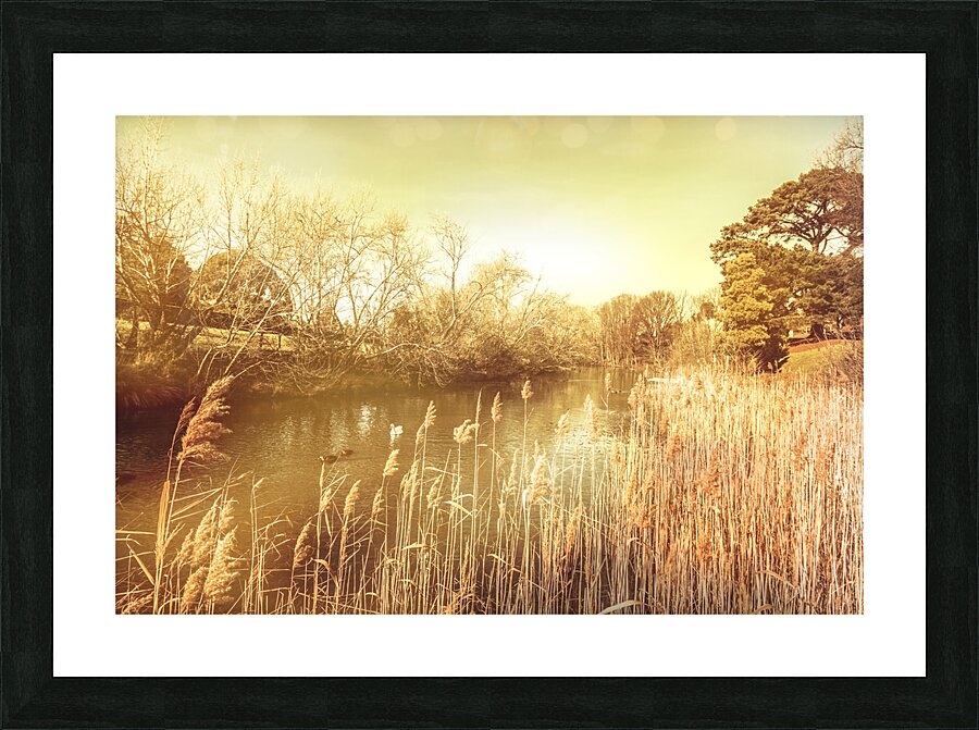Coal River Richmond Picture Frame print