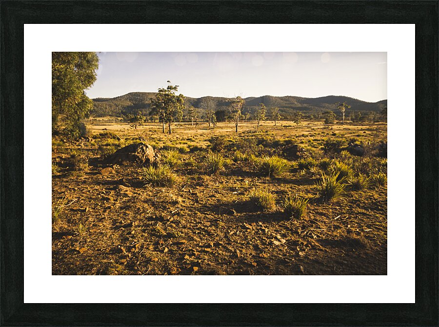 Idyllic rural Australia farmland  Picture Frame print