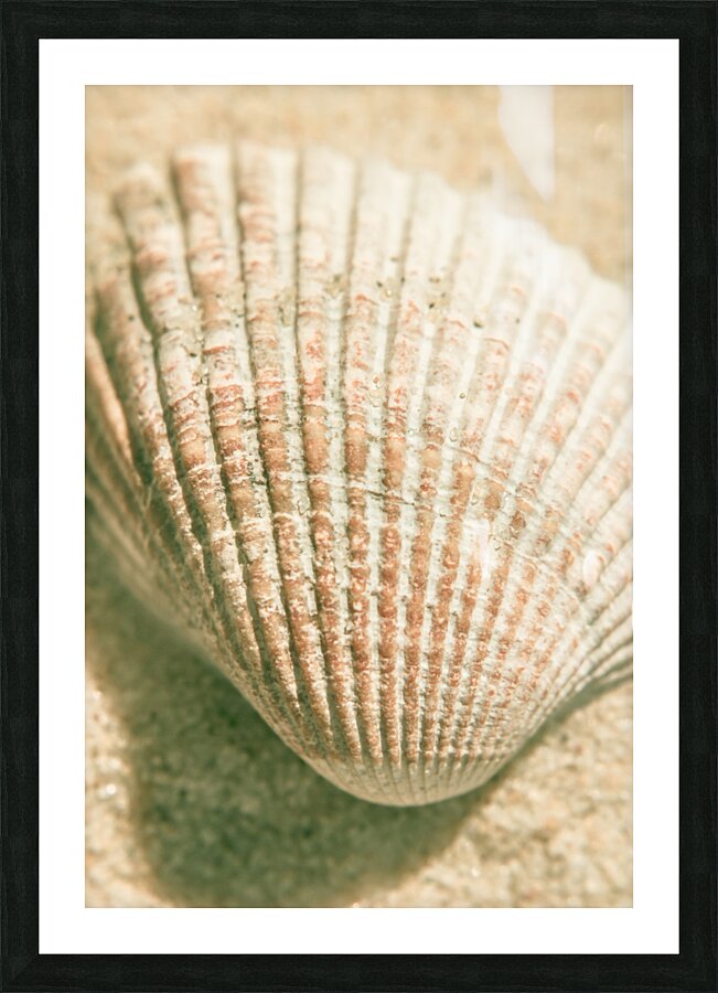 Macro marine minimalism Picture Frame print