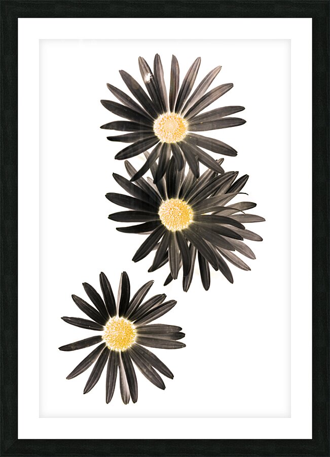 Seisiad Picture Frame print