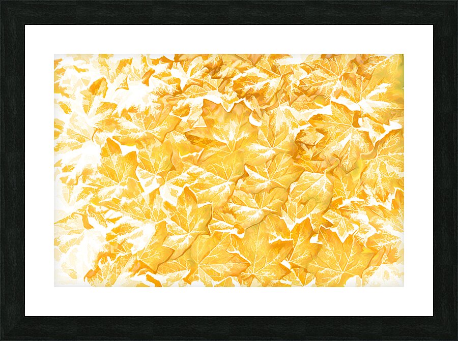 Natural release Picture Frame print