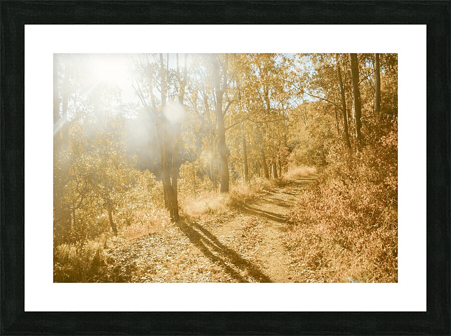 Autumns Adventure Picture Frame print