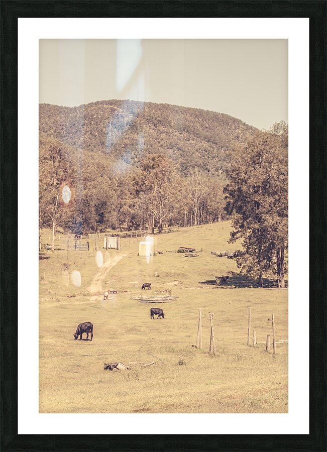 Old prairie Picture Frame print