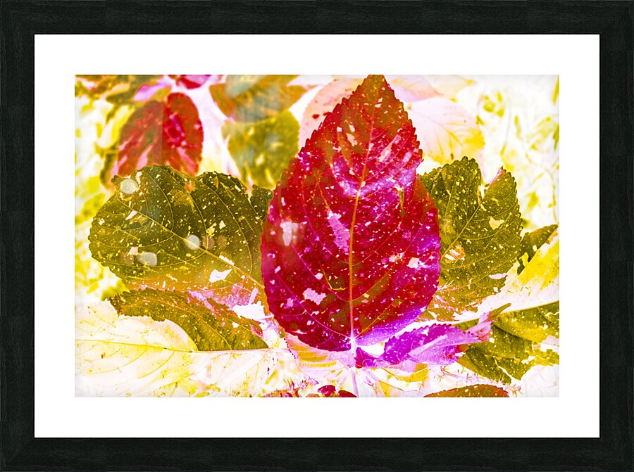 Forest of leafy hues Picture Frame print