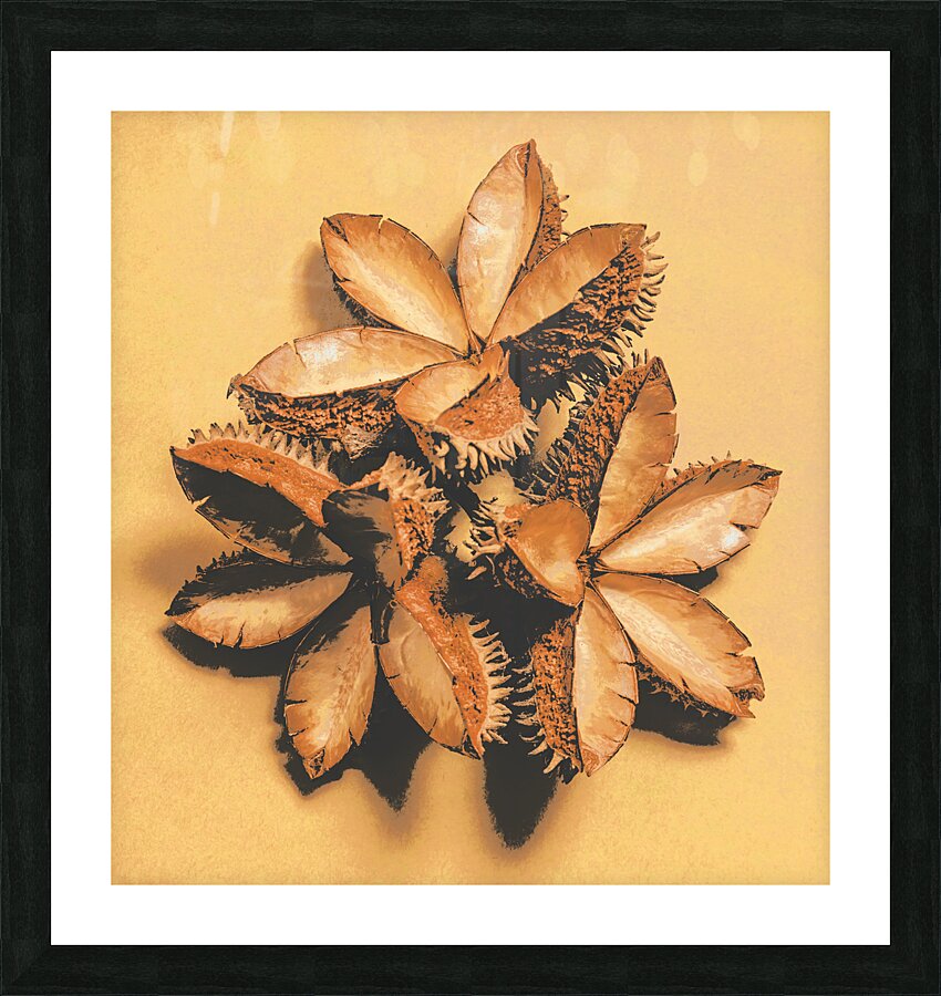 Setting seeds Picture Frame print