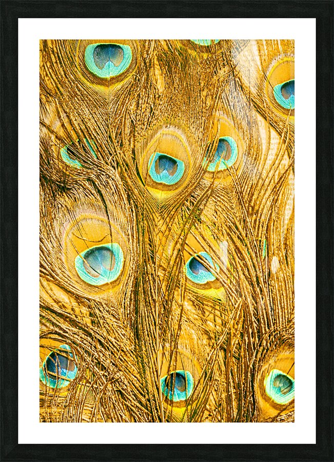 Layered Picture Frame print