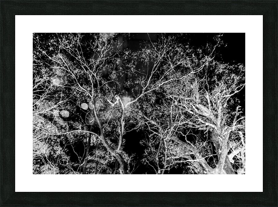 Of a elaborate design Picture Frame print