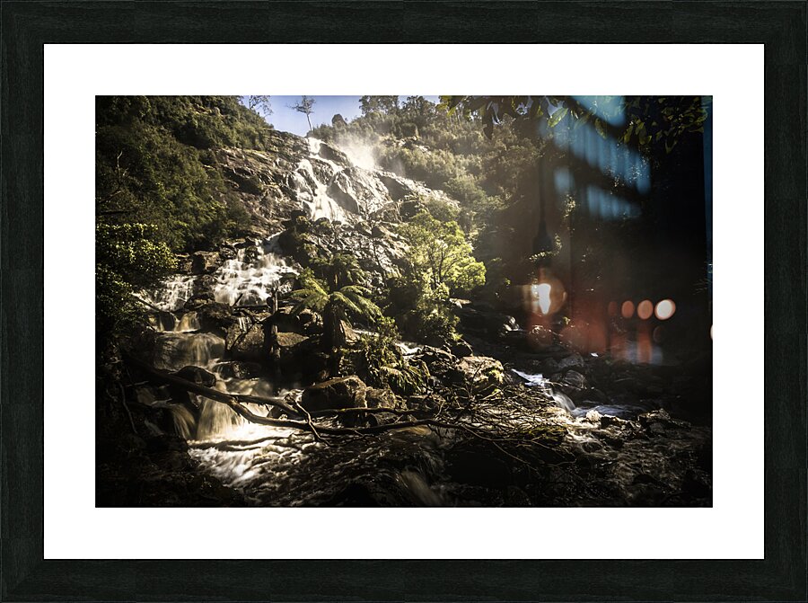 Tasmania wild Picture Frame print