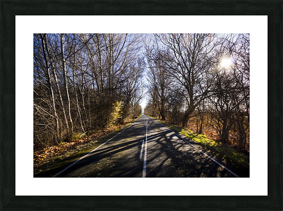 Beautiful roads in winters shadow Picture Frame print