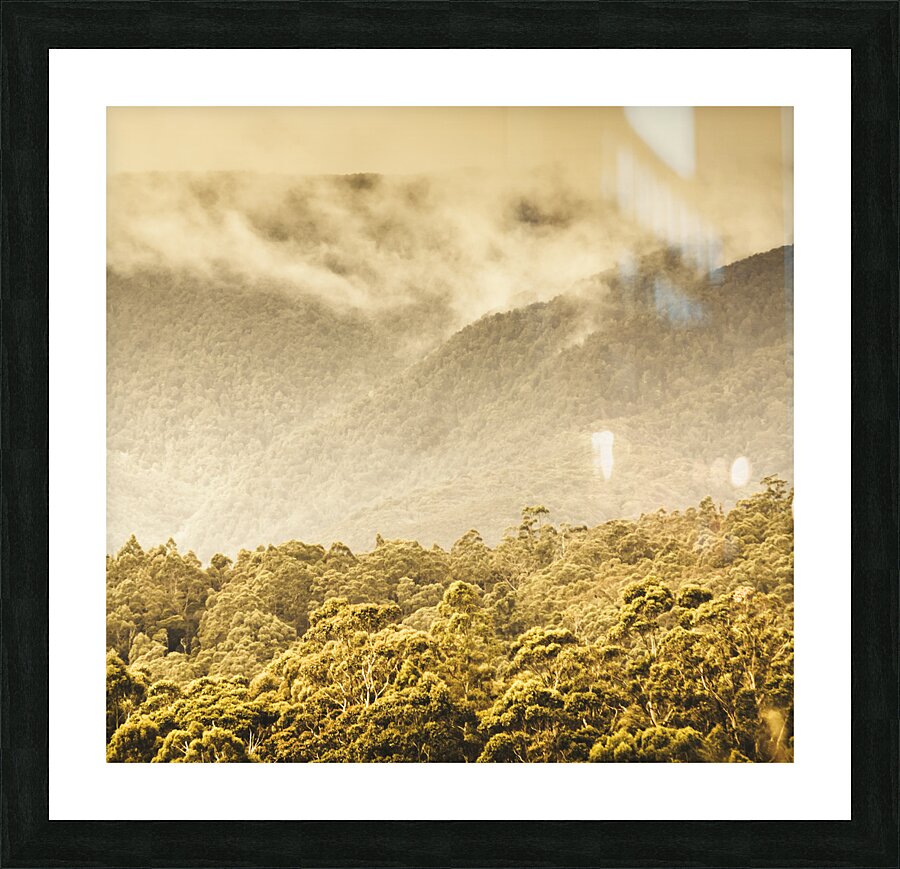 Western woodlands Picture Frame print