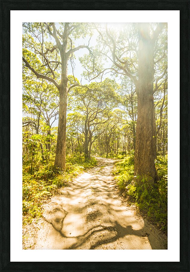 Island Avenue Picture Frame print