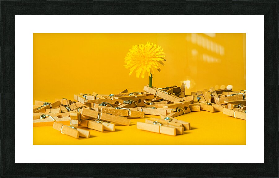 Spring clippings Picture Frame print