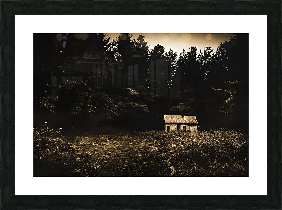 Beauty in dilapidation Picture Frame print