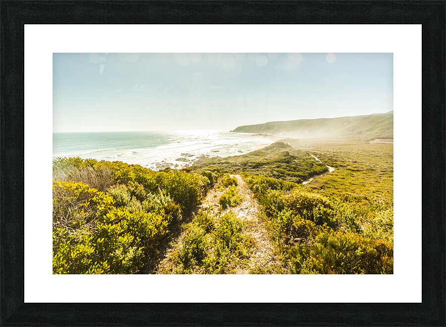 Misty ocean wilderness Picture Frame print