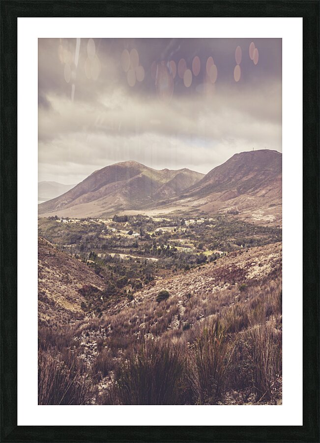 Glorious Gormanston Picture Frame print