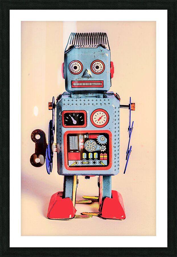 The old bot Picture Frame print