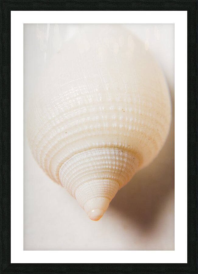 Nautical simplicity Picture Frame print