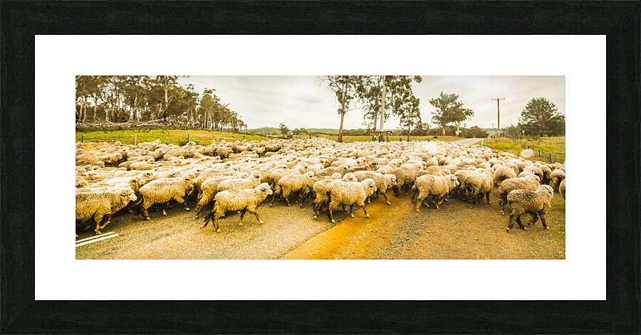 Outback road crossing Picture Frame print