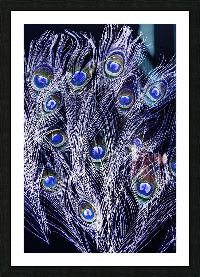 Midnights in dreamtime Picture Frame print