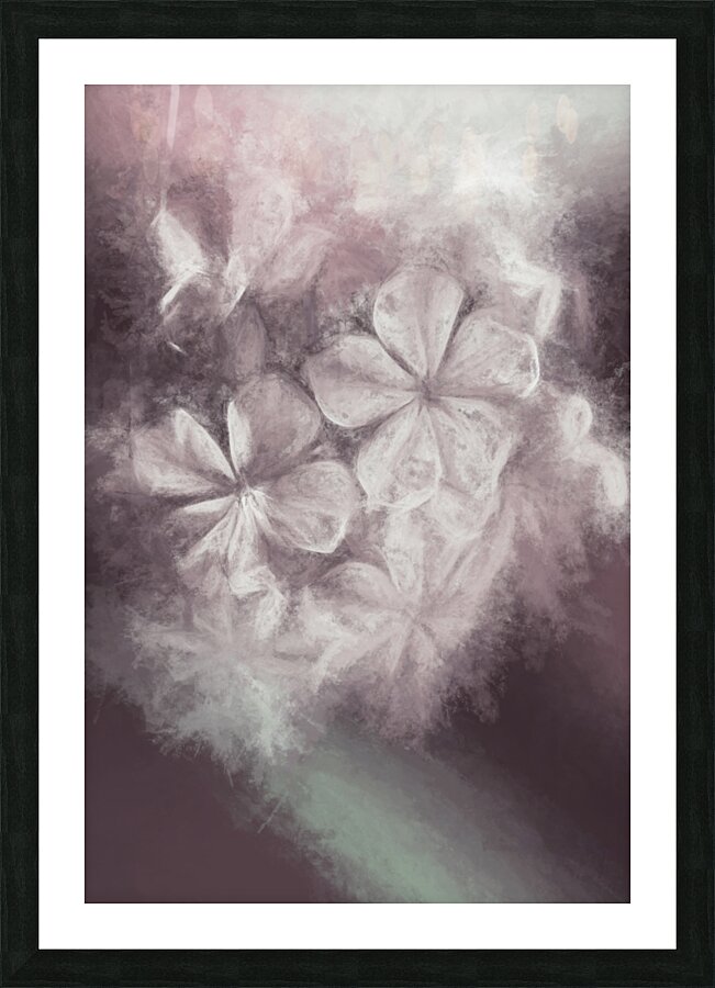 Fibonacci flowers in energy manipulation calculus Picture Frame print