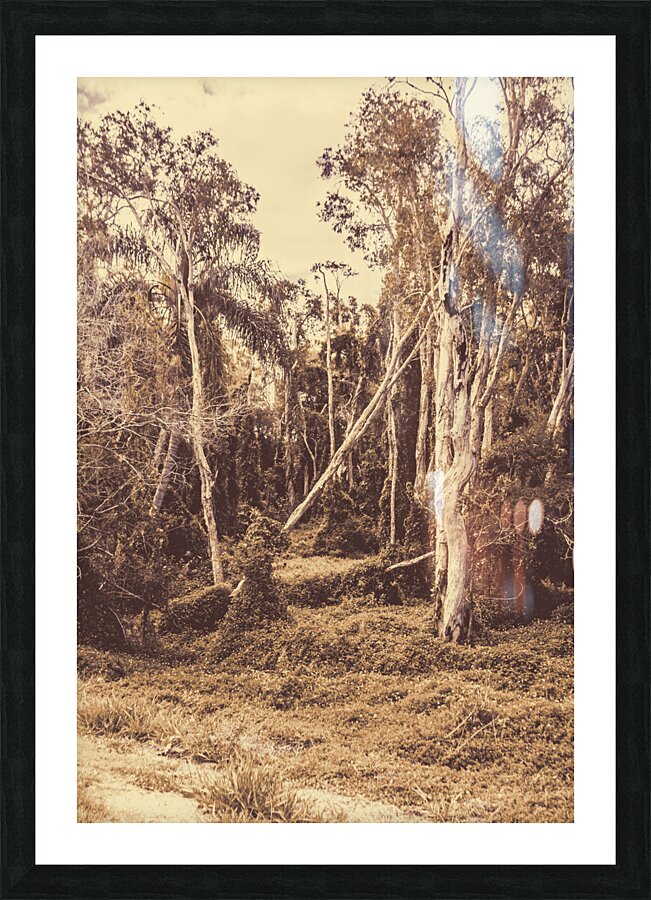 Old Woodery Picture Frame print