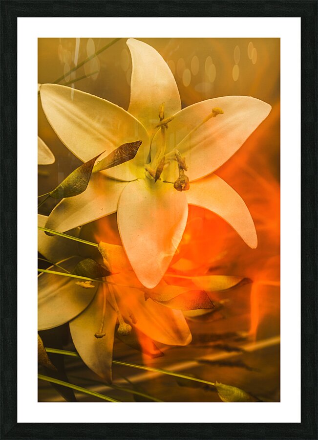 Flames of intimacy Picture Frame print