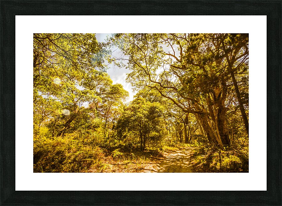 Queensland Wy. Picture Frame print