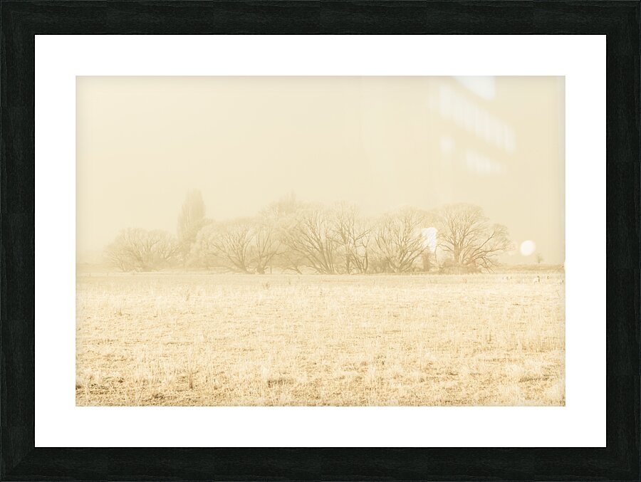 Icy cold foggy woodland Picture Frame print