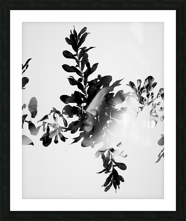 Connection to all that is Picture Frame print