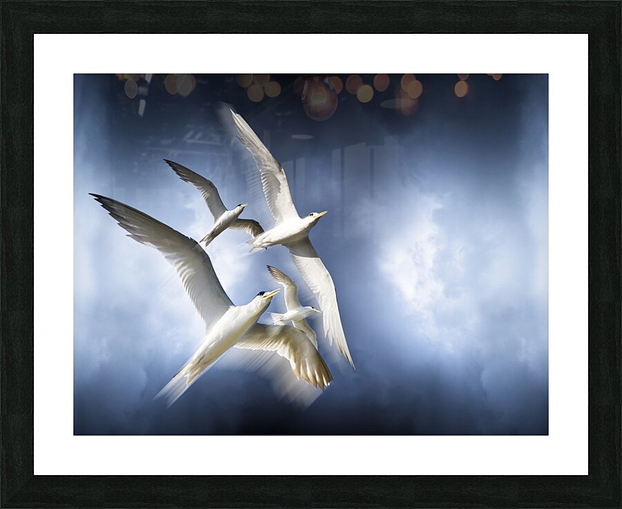 Freedom Picture Frame print