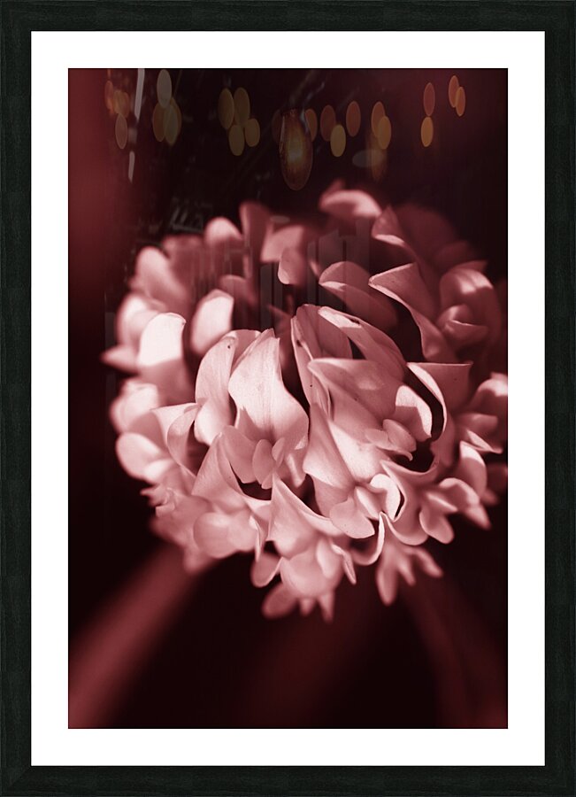 Clover Flower Picture Frame print