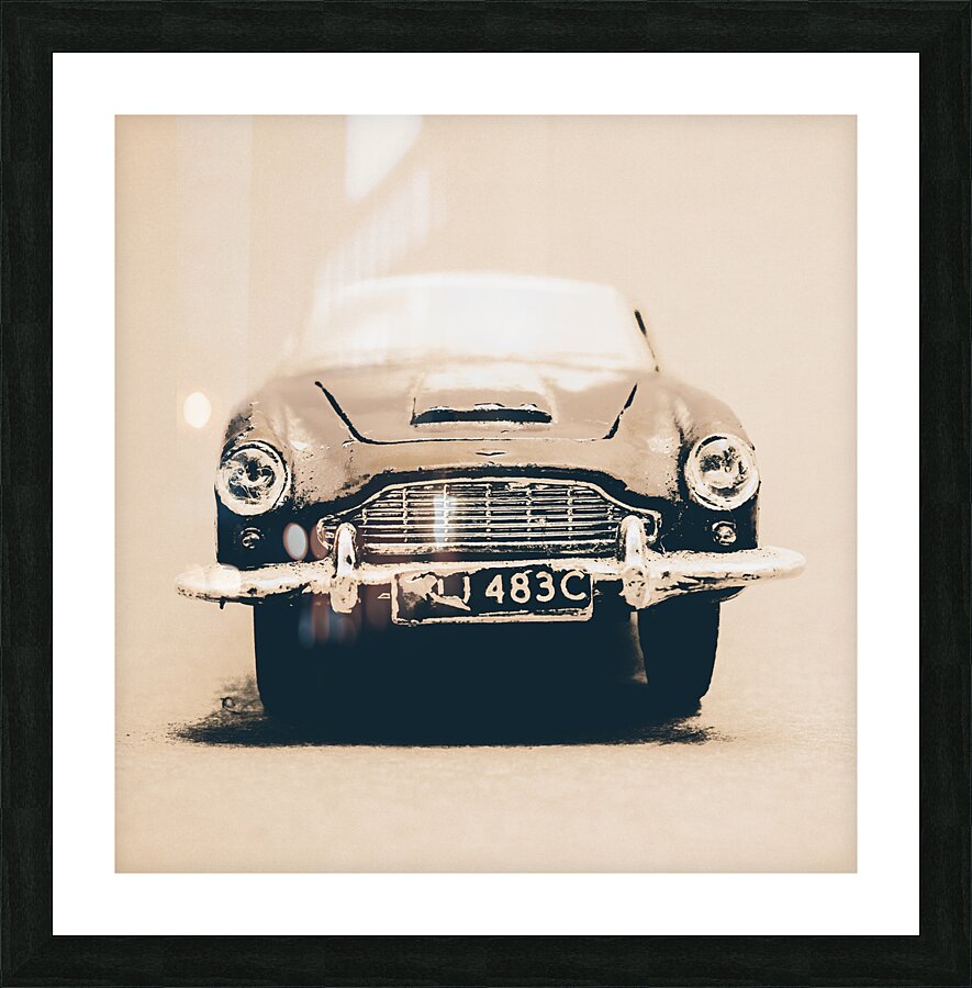 Martin miniature  Picture Frame print