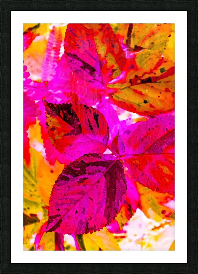 Color cluster Picture Frame print