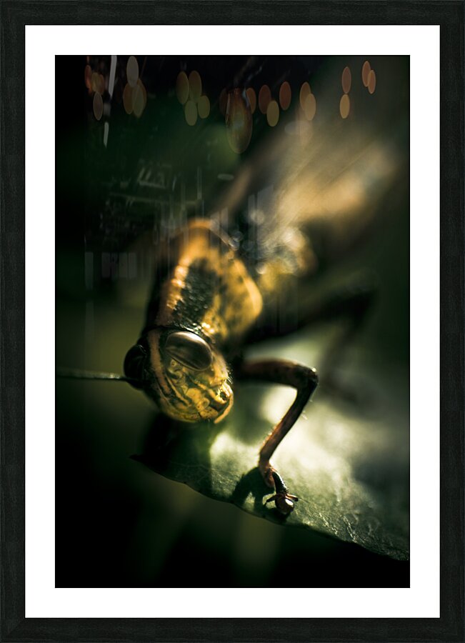 Leaf Bites Picture Frame print