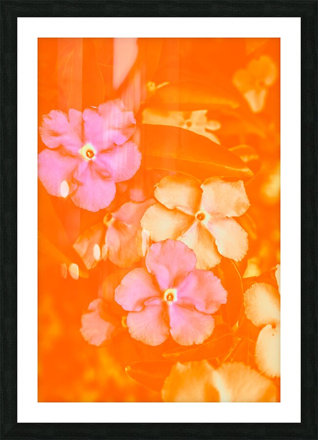 Tropical warmth Picture Frame print