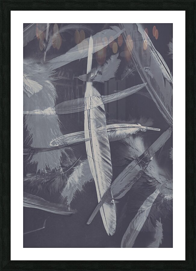 Flying featherabstract background Picture Frame print