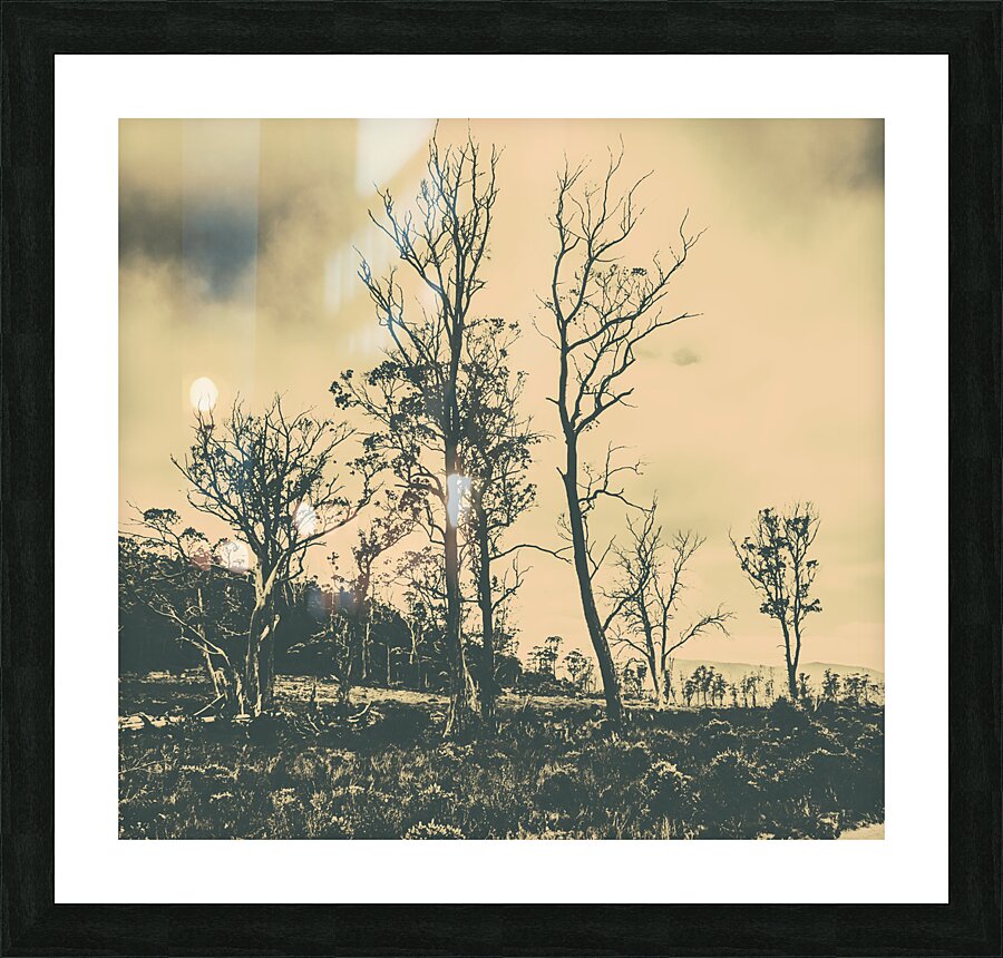 Wild Australian scrublands Picture Frame print