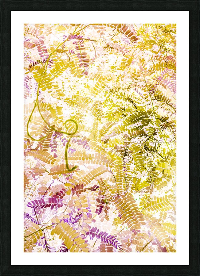 Tango and twine Picture Frame print