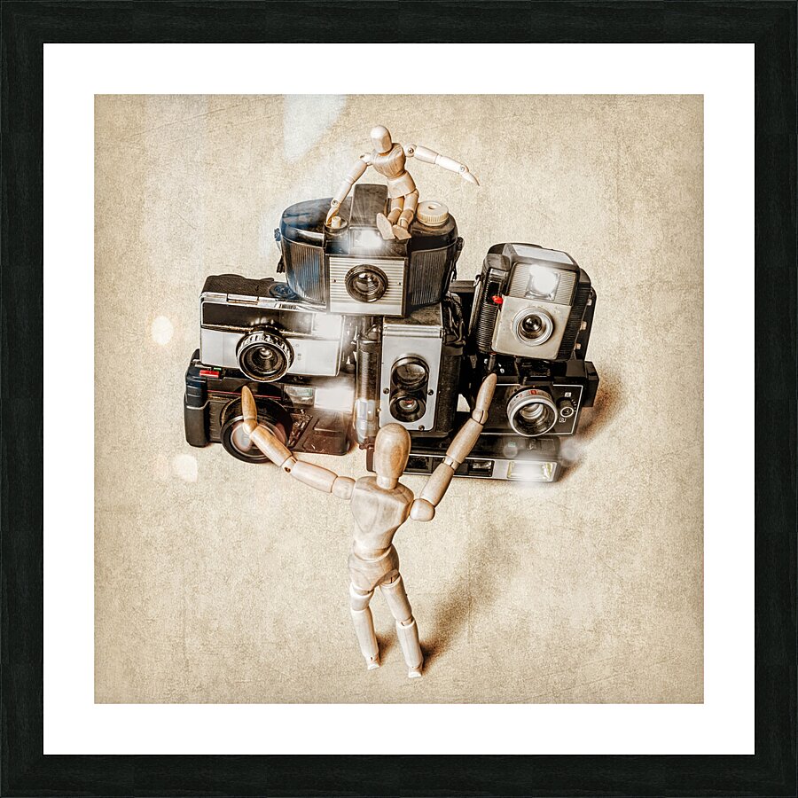 When the photographers away the toys will play Picture Frame print